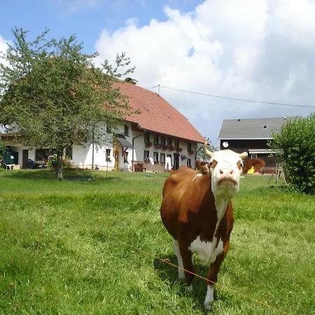 Appartement Ferienhaus Ehinger Breitnau