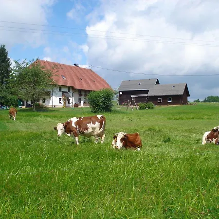 Ferienhaus Ehinger Appartement