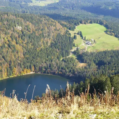 Appartement Ferienhaus Ehinger